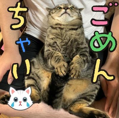 写真8.jpg
