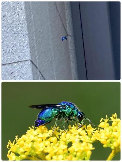 写真１.JPG