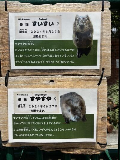 写真②.jpeg