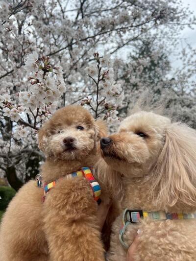 写真１.JPG