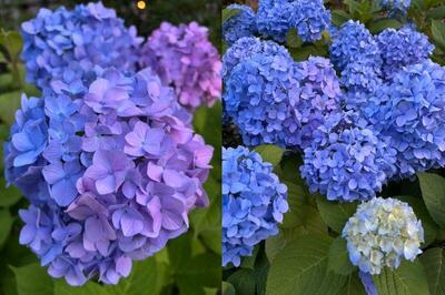 写真１.jpg